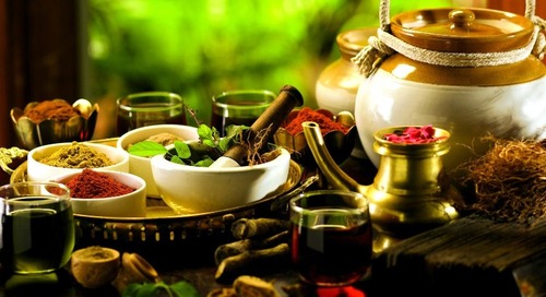 Ayushi Ayurveda Retreat showcase image